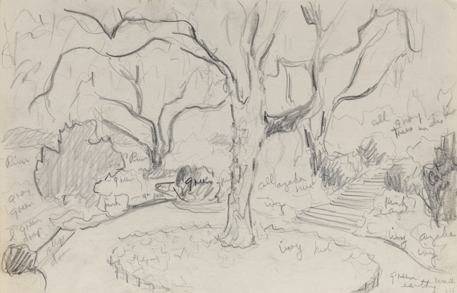 [Mepkin Plantation (?): garden study]