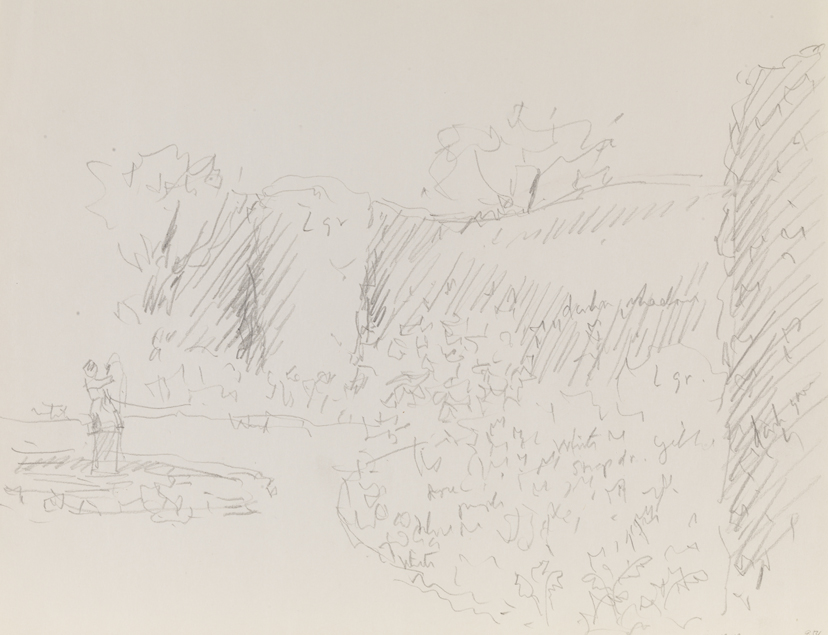 [Mathew's garden, Northeast Harbor]