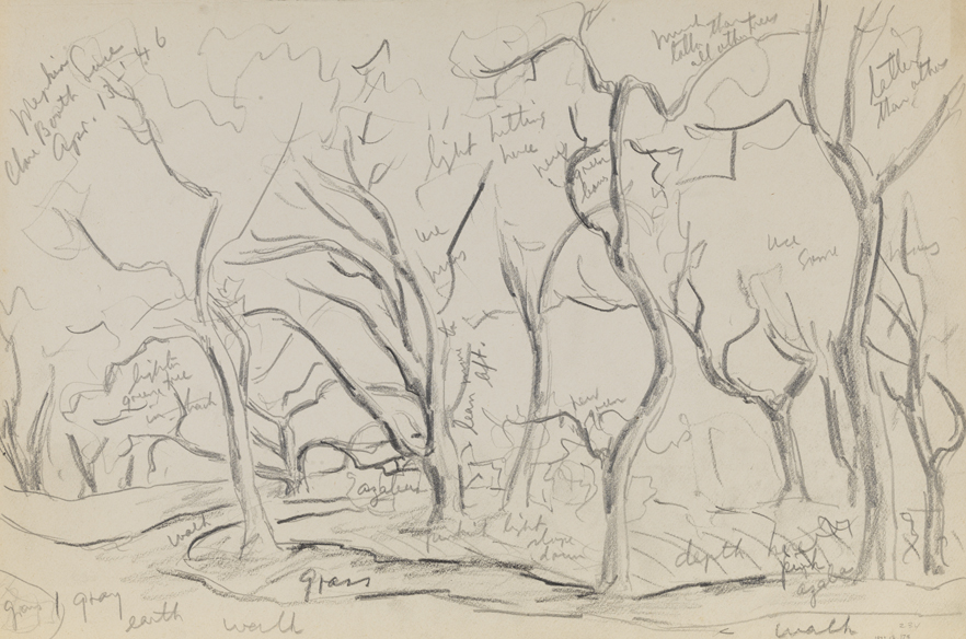 Meppkin (Plantation: tree study)