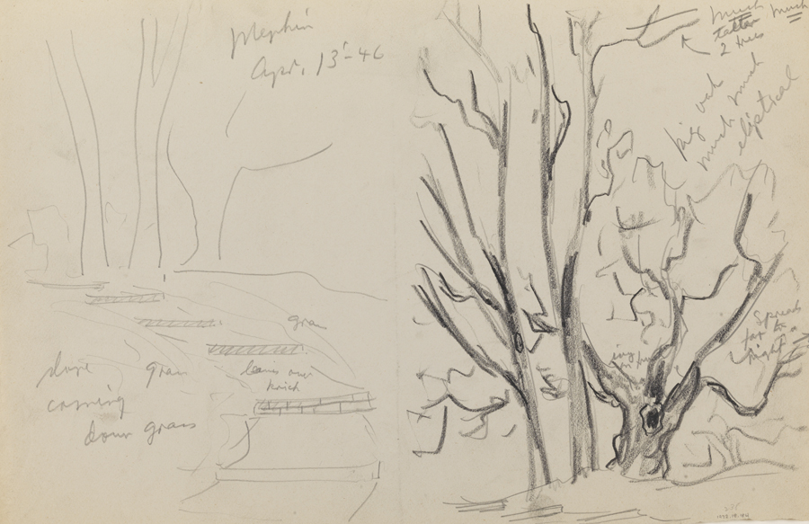 [Mepkin Plantation: outdoor study]