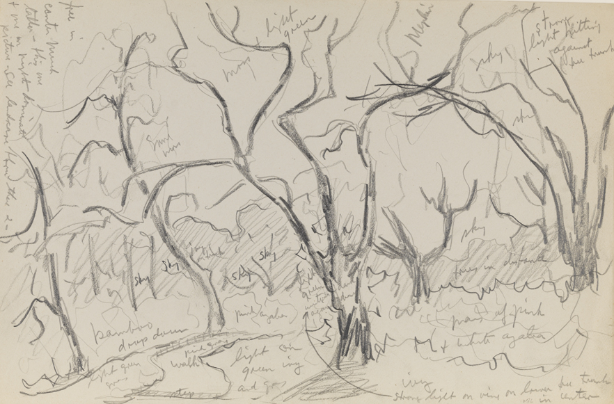 [Mepkin Plantation: lanscape study]