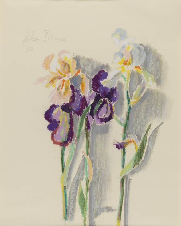[Still life: irises]