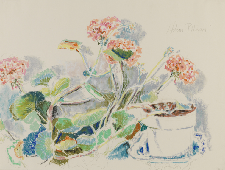 [Still life: geraniums]