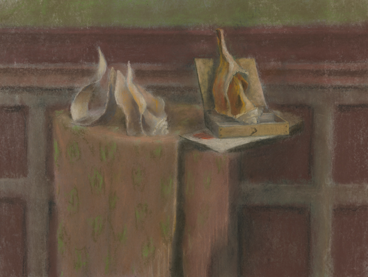 [Still life: conch shells on table]