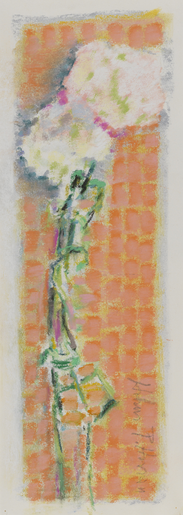 [Still life: carnations]