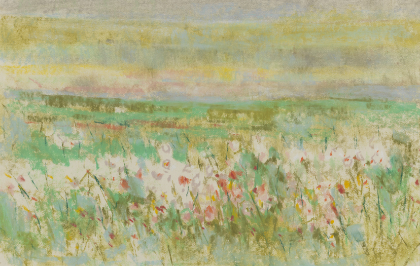 [Field with flowers]