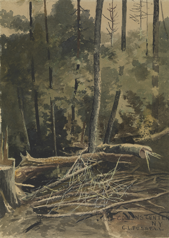 Collins Center, N. Y.