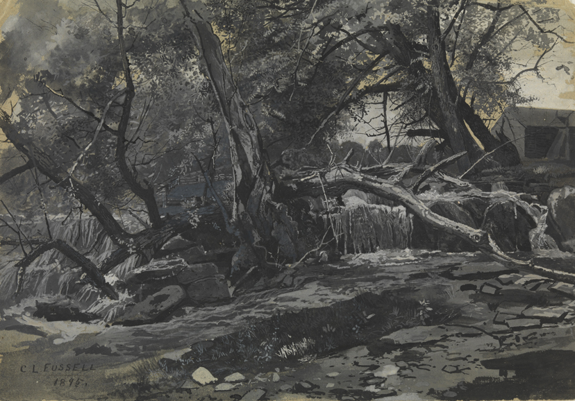 [Waterfall with fallen trees]