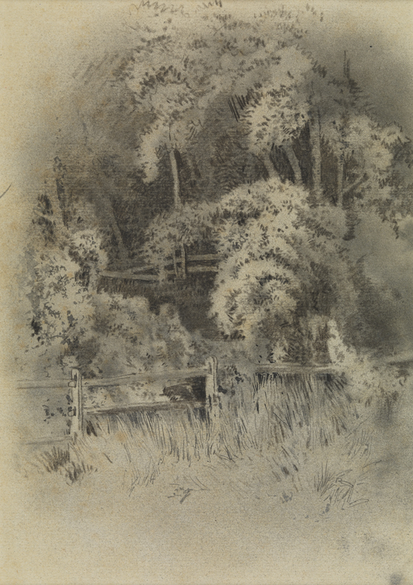 [Landscape with fence]