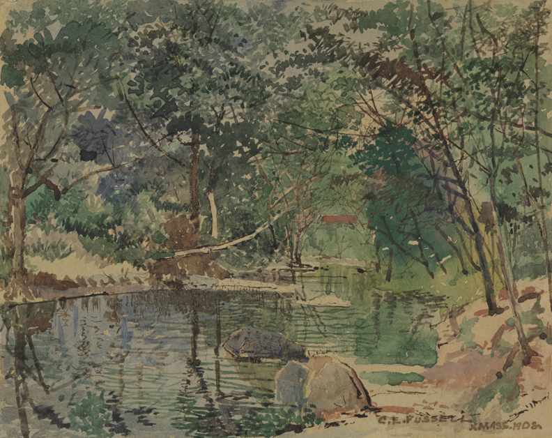 [Landscape: Schoen's woods]