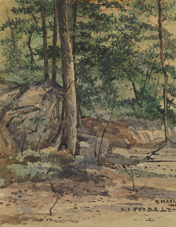 [Landscape: Schoen's Woods]