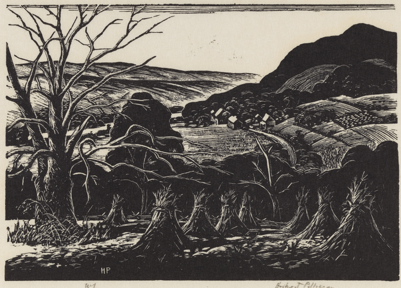 [The Old Chestnut Tree]