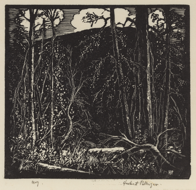 [Trees in the Valley]