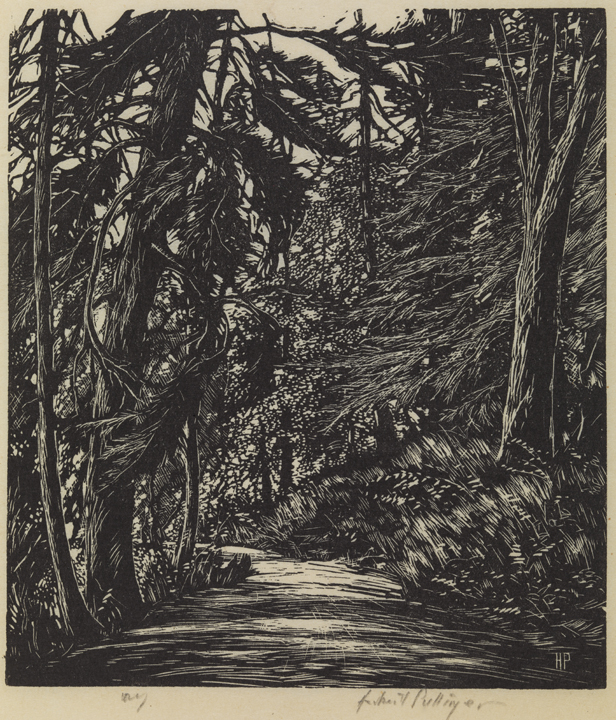 Bridle Path - Wissahickon