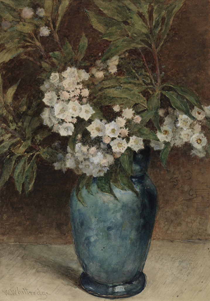 [Laurel blossoms in a blue vase]