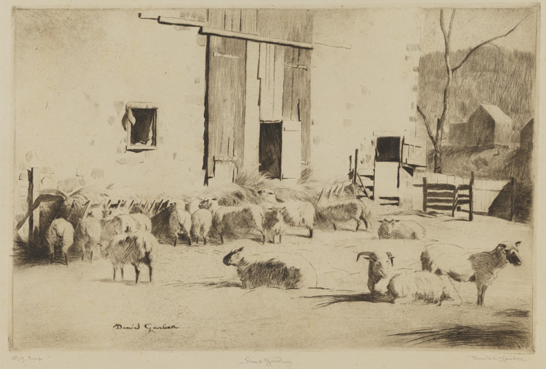 Sheep Yard