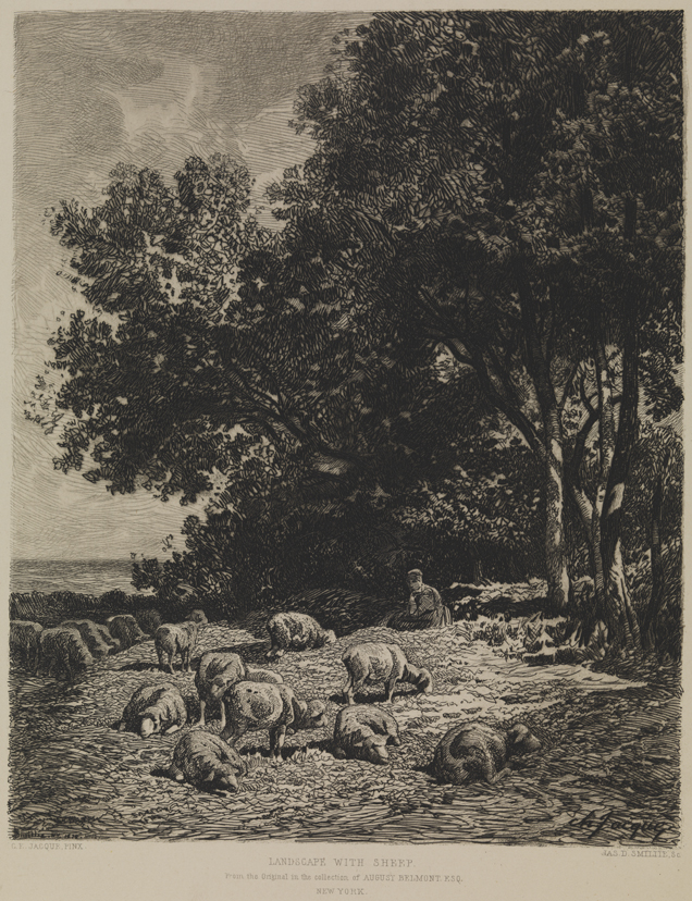 Landscape with Sheep