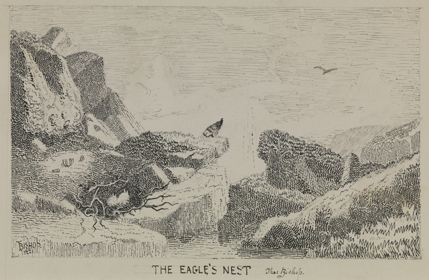 The Eagle's Nest