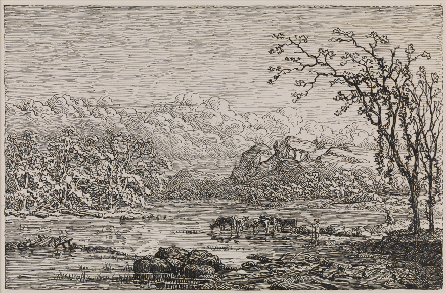 Conestoga Creek Scenery