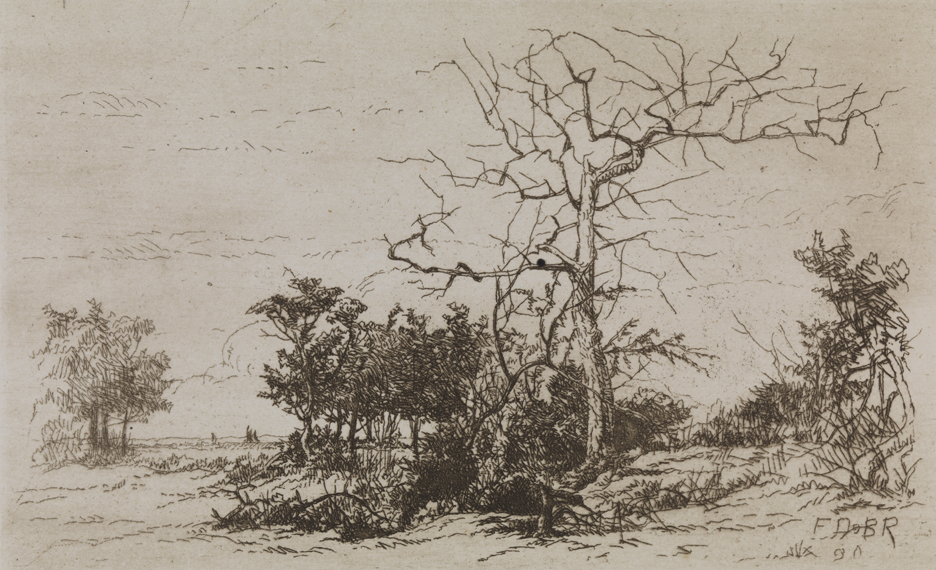 The Meadows at Anglesea