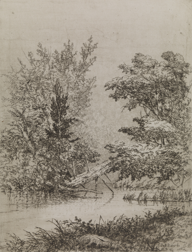 In the Jersey Swamps