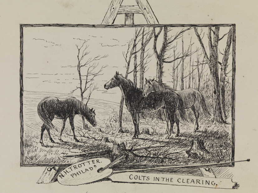 Colts in the Clearing