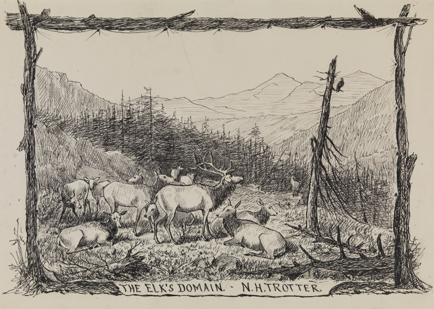 The Elk's Domain, Mt. Blackmore