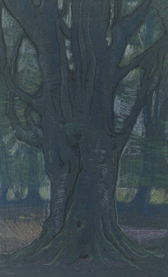 New Forest (England)