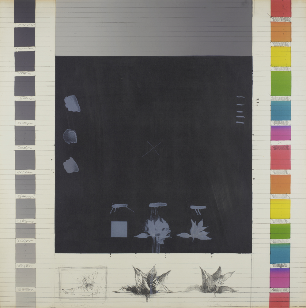 Wish #3 Transformation