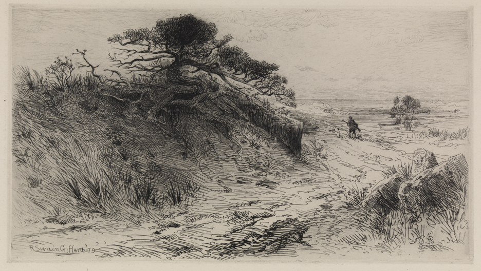 The Path to the Shore