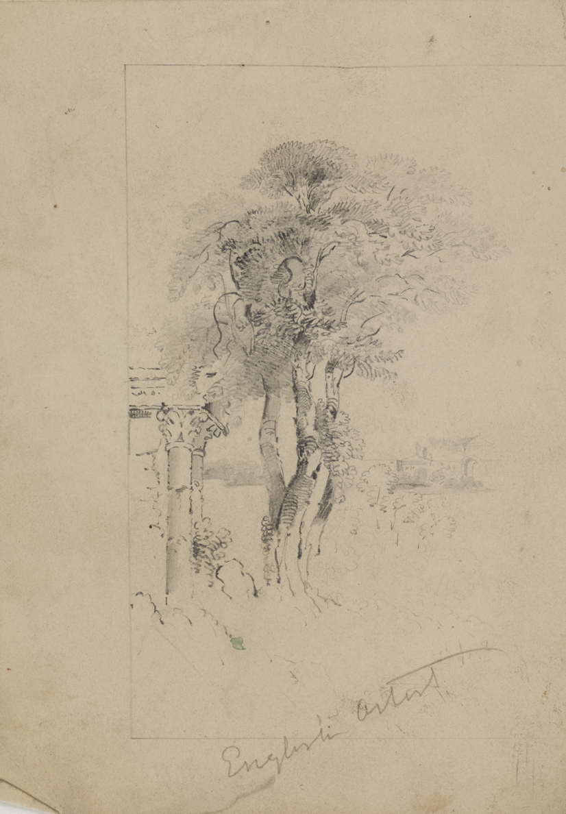 [Study of trees, Italian landscape?]