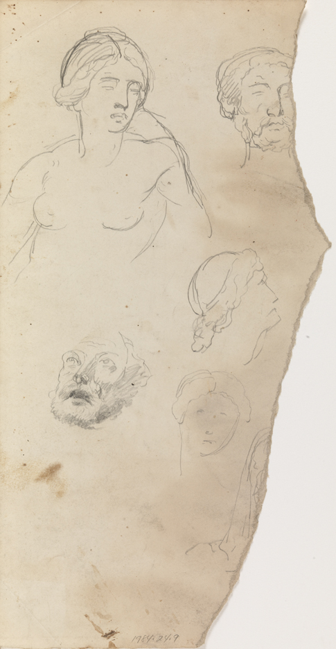 [Figure studies: heads, woman's torso, man's knee]