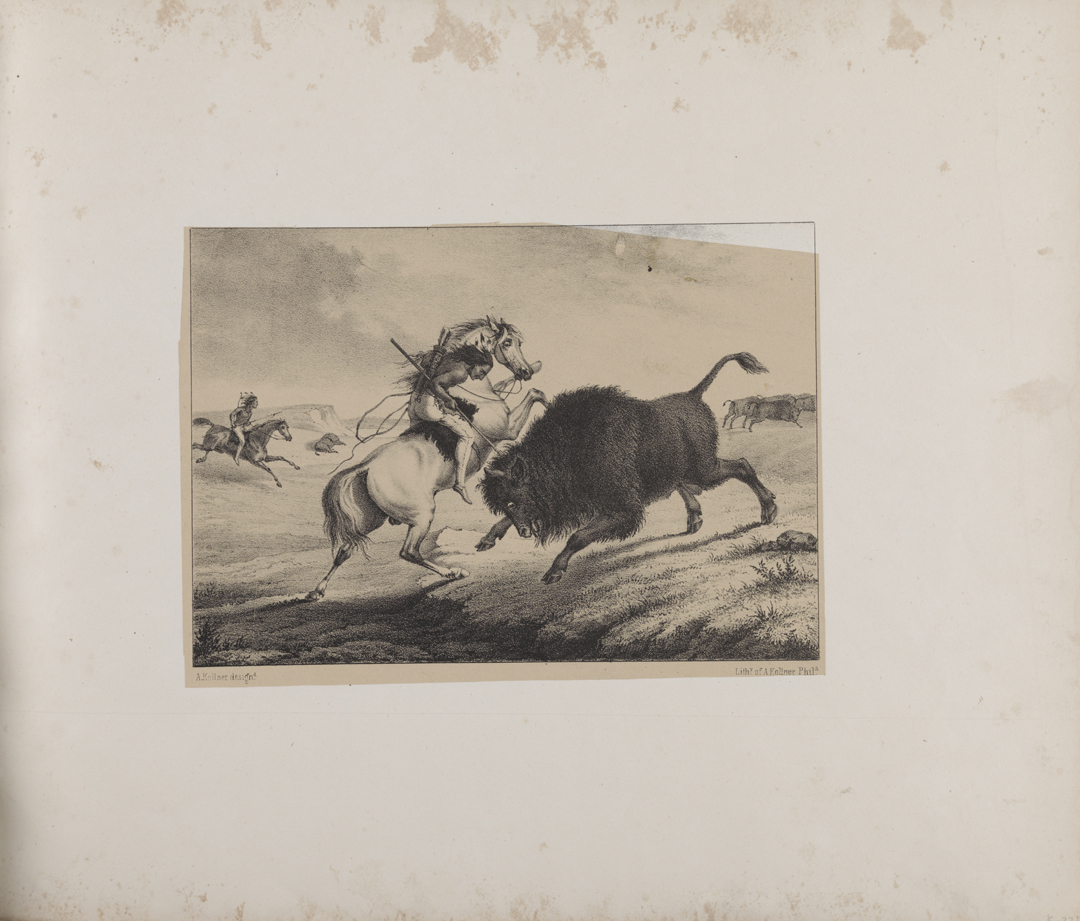 [Indian killing buffalo]