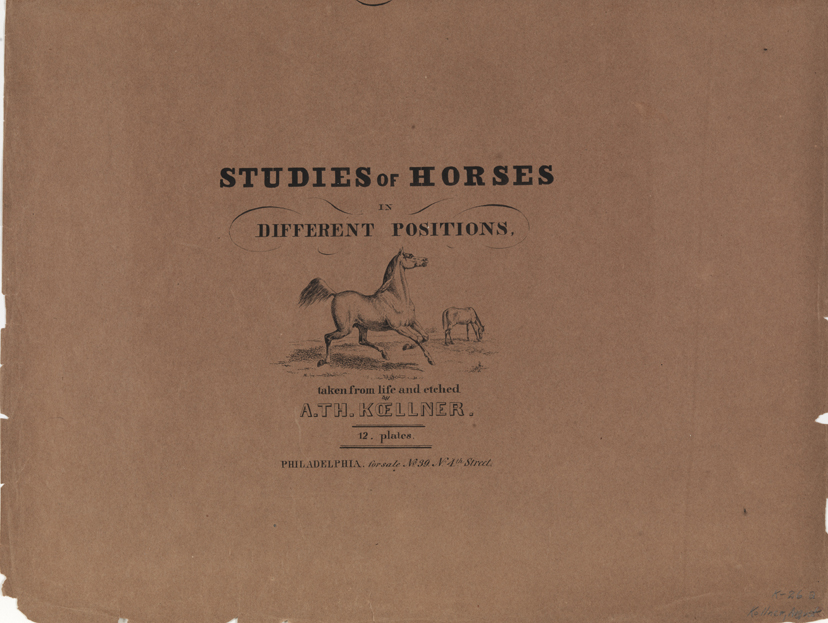 Studies of Horses [Portfolio cover]