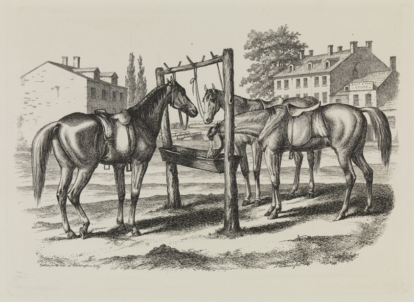 [Three horses at Washington City water trough]