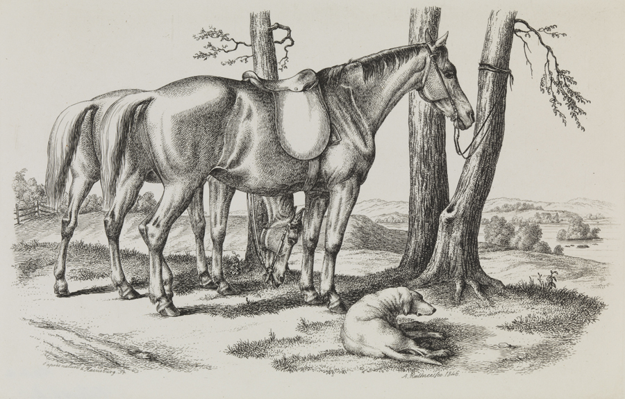 [Two horses and a dog at Harrisburg]