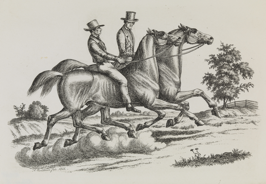 [Two mounted riders in field]