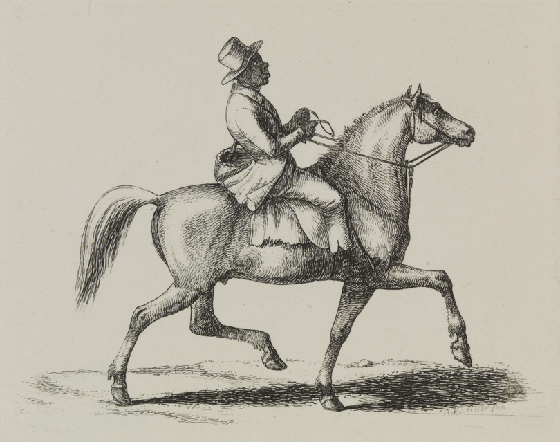 [Man on prancing horse]