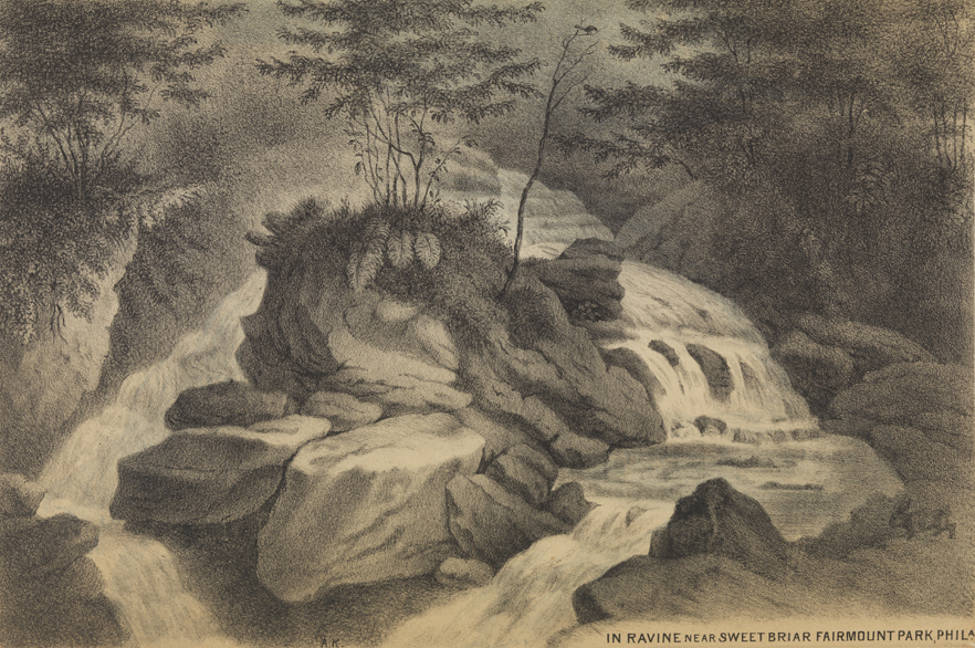 Ravine near Sweet Briar