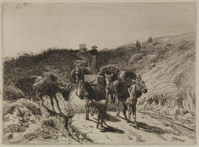 [A Burro Train, New Mexico] (smaller version)