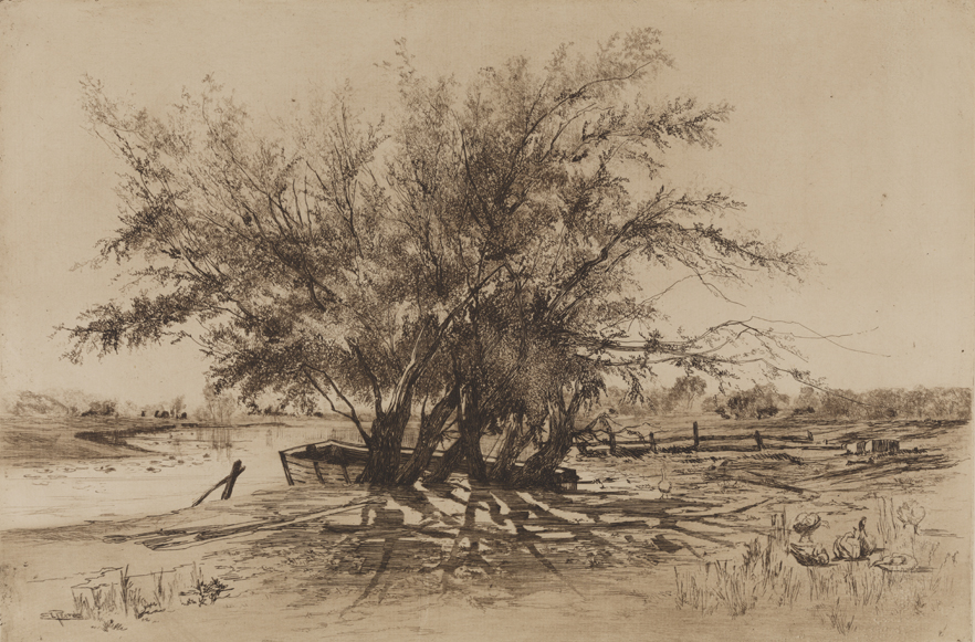[Old Trees by a River]