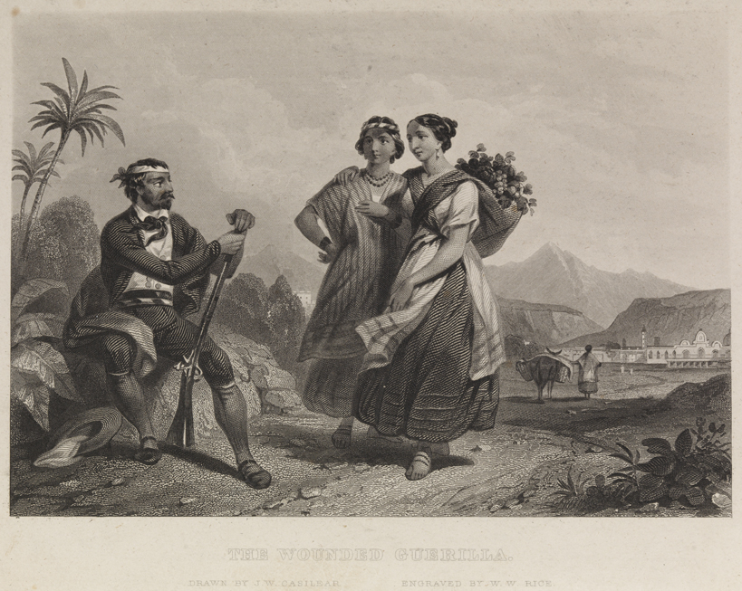 The Wounded Guerilla