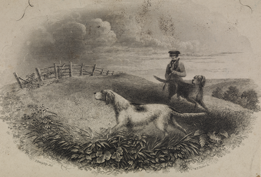 [Man hunting with two dogs]