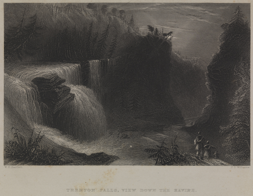 Trenton Falls, View Down the Ravine