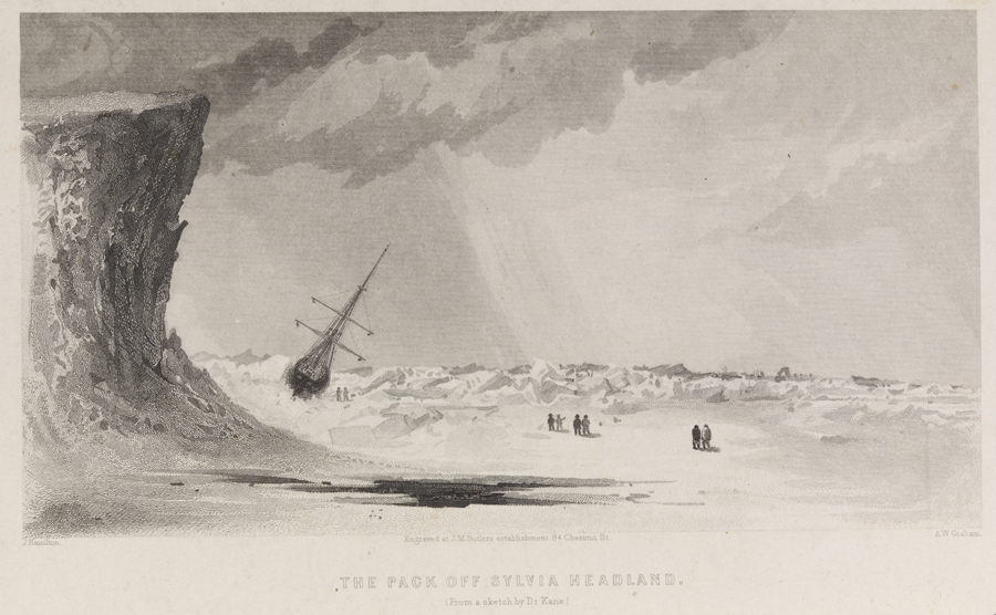 The Pack off Sylvia Headland