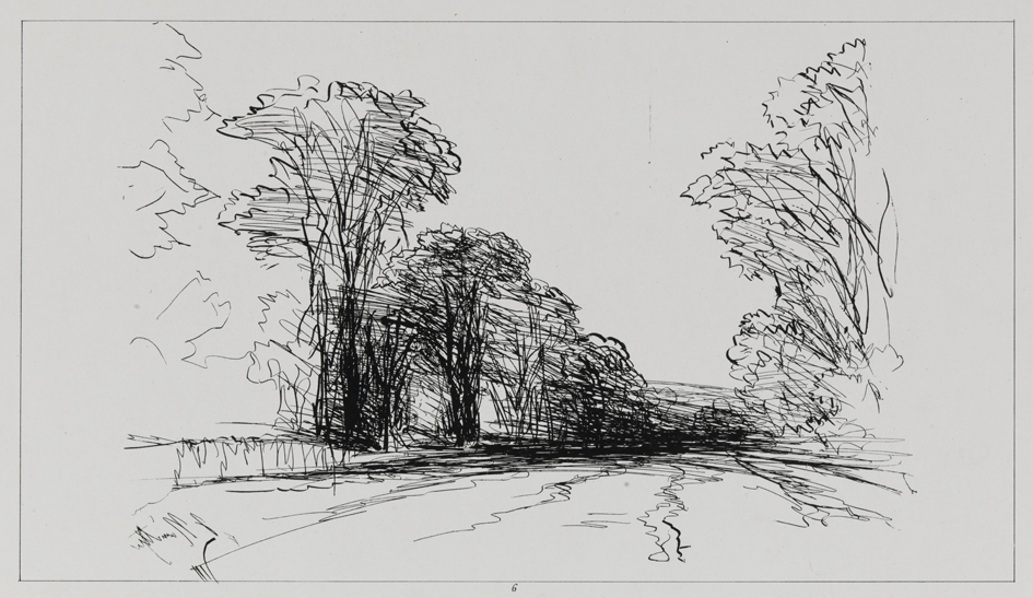 [Tree-lined road]