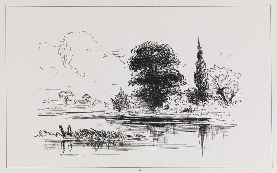 [Tress by the water]