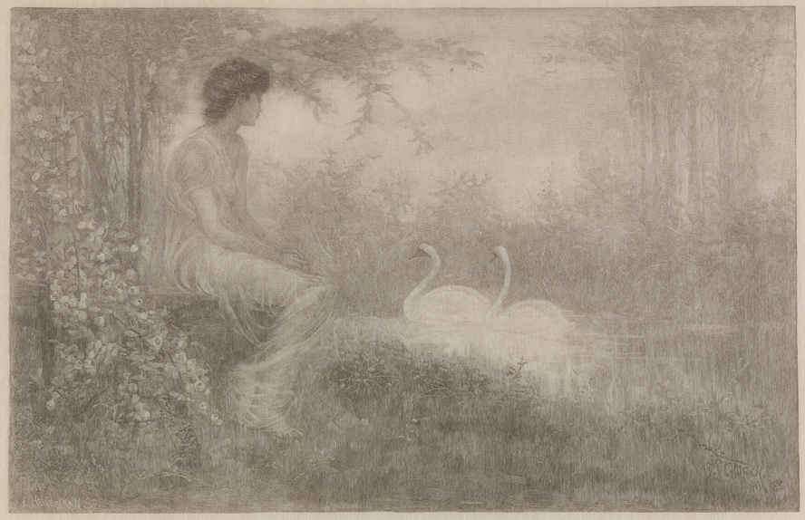 [Girl viewing swans]
