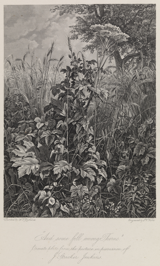 'And some fell among thorns"