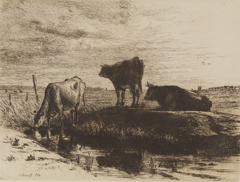 The Three Cows